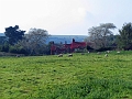 04 10 15_7877_edited-1